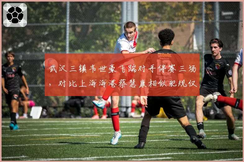 武汉三镇韦世豪飞踹对手停赛三场，对比上海海港蔡慧康相似犯规仅警告处罚力度失衡