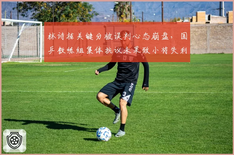 林诗栋关键分被误判心态崩盘，国乒教练组集体抗议未果致小将失利