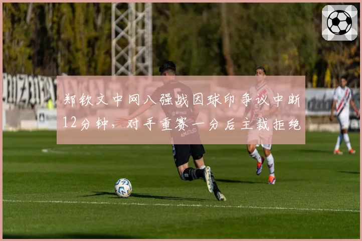 郑钦文中网八强战因球印争议中断12分钟,对手重赛一分后主裁拒绝回放录像引爆主场嘘声